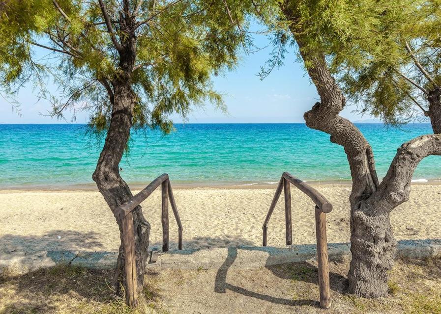 San Giorgio Luxury Apartments Ierissos Exterior photo